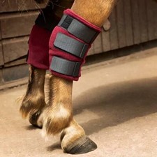 Fleece Hock Boots - Equestrian
