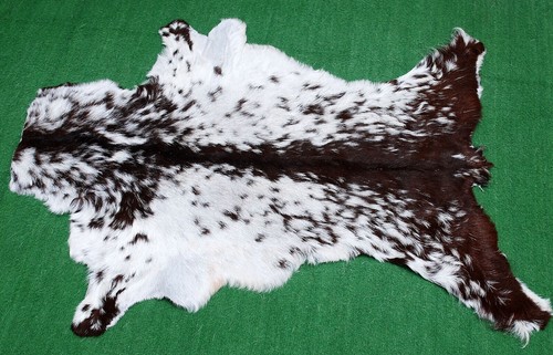 Genuine goat hide hair - goat, on