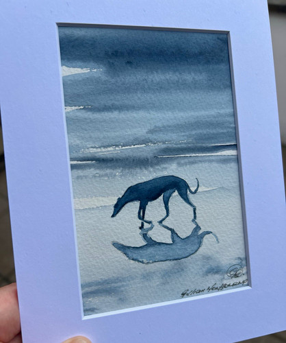 Gillian montgomery greyhound - gillian,