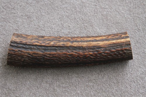 Real red deer antler - red,