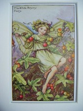Vintage Flower Fairies Print &