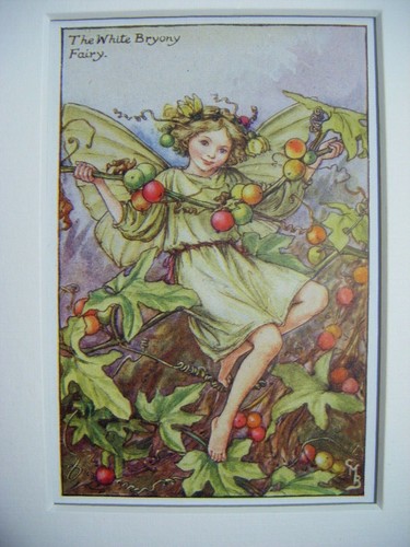 Vintage flower fairies - fairies, &