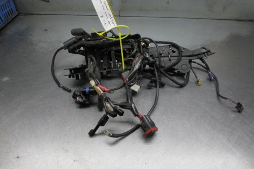Harley davidson xl883 - davidson,