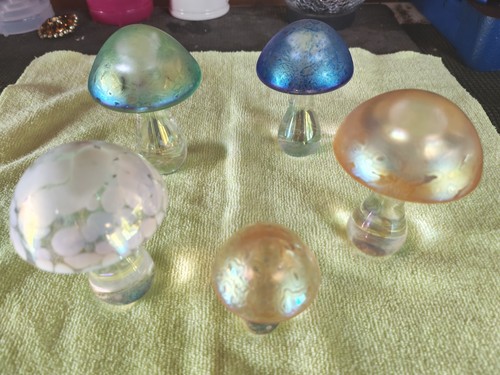 Set heron glass mushroom - 5,