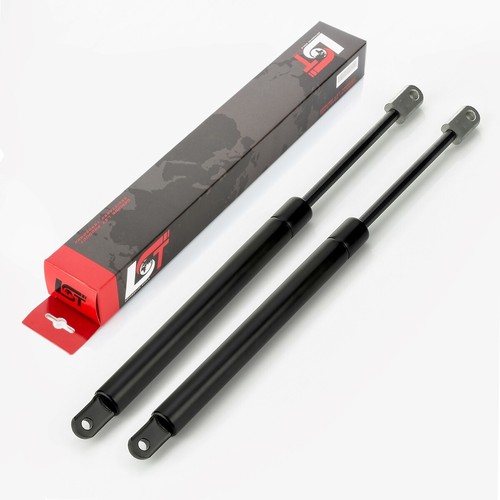 Gas pressure spring - 2x,