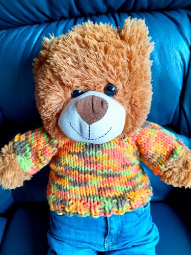 Teddy bear clothes hand - clothes,