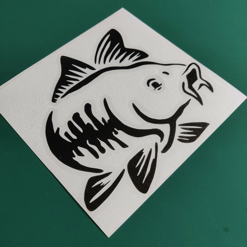 Fishing carp design - fishing,