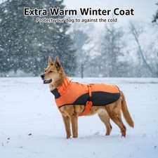 Dogs Waterproof and Insulated