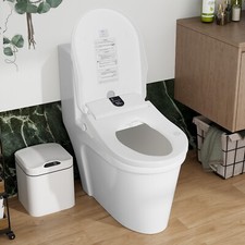 Smart Bidet Toilet Seat Electric Oval Shape Massage Heated Remote Control LED