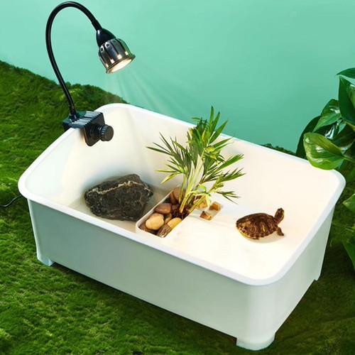 Turtle tank aquarium - turtle, box