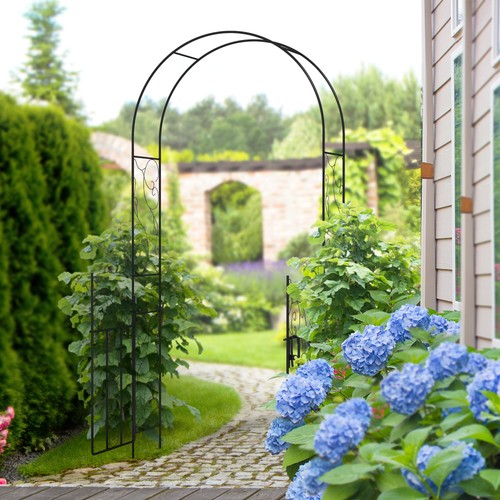 Metal garden arch with - garden,