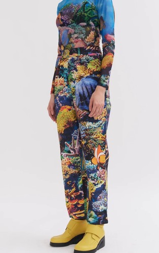 Lazy oaf fish - oaf,