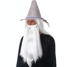 Adult Wizard Gandalf Grey