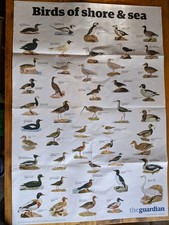 The Guardian Poster Wallchart