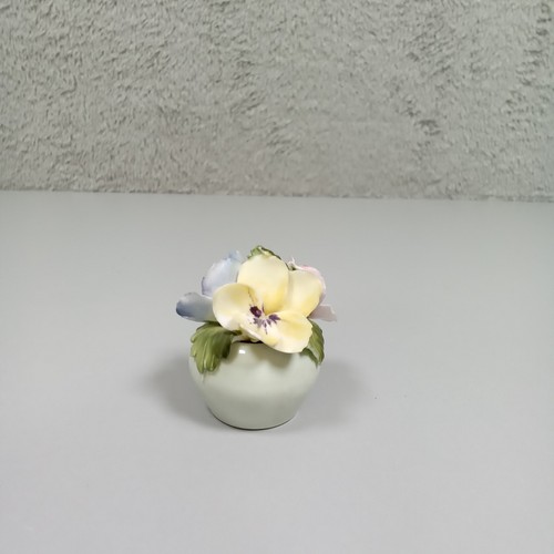 Radnor bone china - bone,