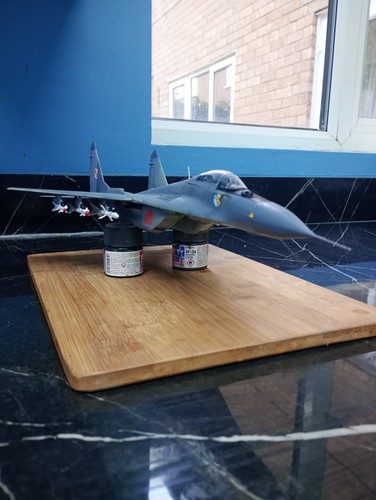 Polish mig 29 - 1/48,