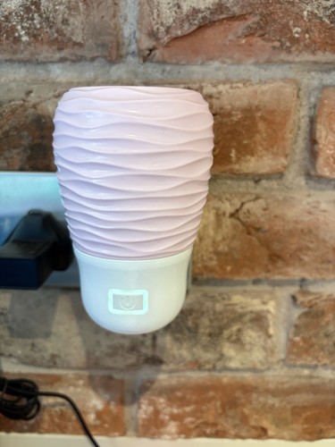 Scentsy blush spin - scentsy,