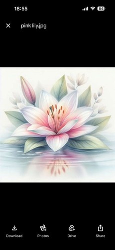 Pink lily cross - stitch, pattern