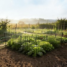 10pcs Metal Garden Fence