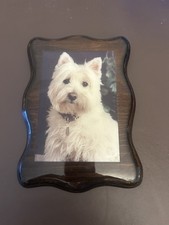 Vintage West Highland White