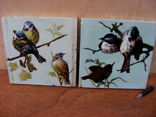 2 ANTIQUE HAND PAINTED GLAZED TILES EX FIREPLACE EDWARDIAN - BIRDS