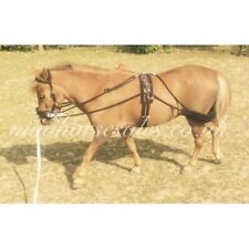 Mini Training System. Aid.  Lunging System. Pessoa