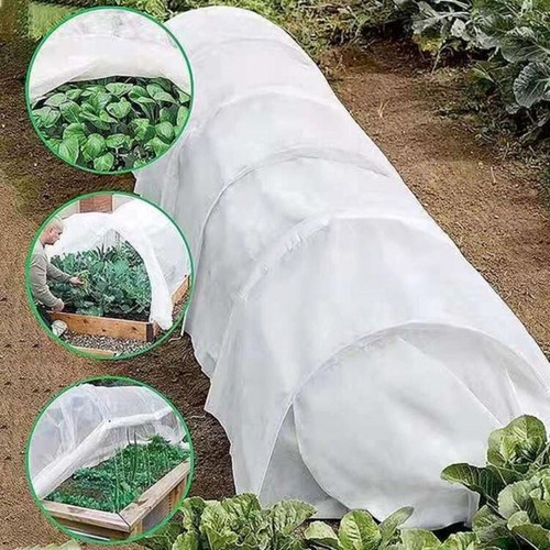 Greenhouse film plant - film,