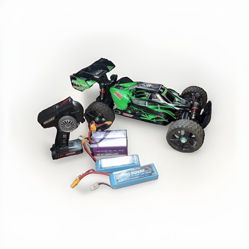 Team corally asuga - , xlr