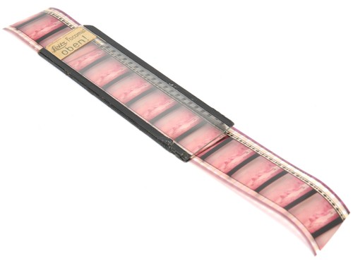 Leitz focomat negative glass - negative,