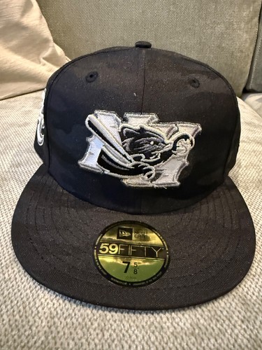 New hampshire fisher cats - hampshire, milb