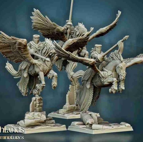 Pegasus knights unit - knights,