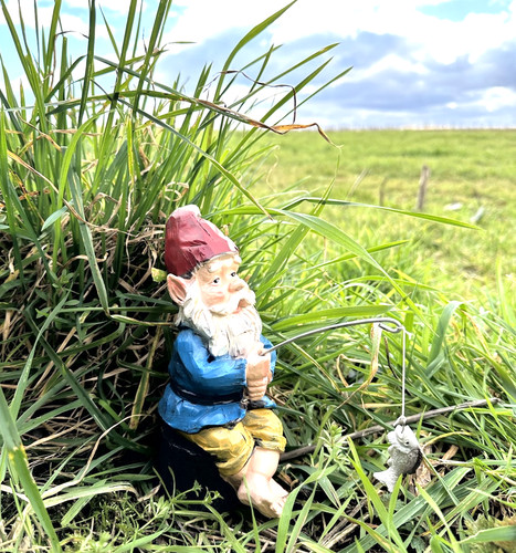 Gnome elf fishing angling - ,