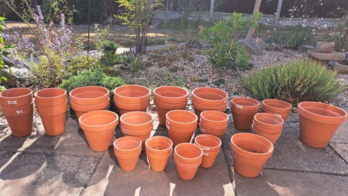 Terracotta plant pots - pots, lot