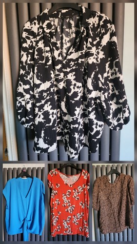 Ladies size 18 short - 4,