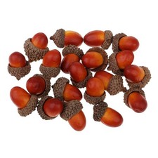 100Pcs Natural Acorns Real