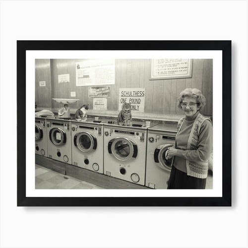 Lady and cats launderette - and,