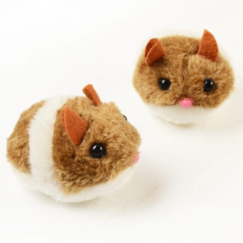 Interactive for cat - cat, mouse