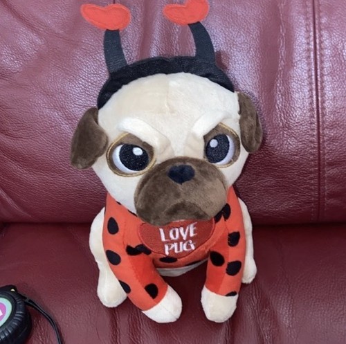 Little town love pug cute - pug,