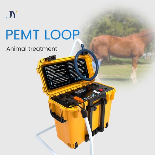 New pro pemf - new, loop
