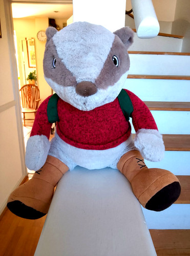 Sainsburys ben the - sainsburys, badger