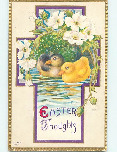 Divided back easter black - easter, duck