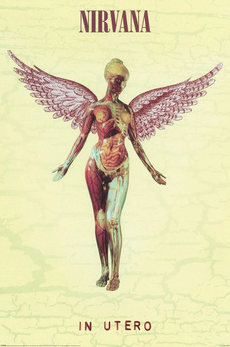 Nirvana utero poster - nirvana,