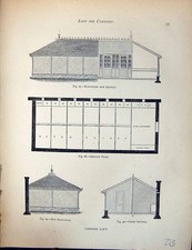 Old Birds Fulton Wright C1880