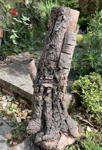 40cm driftwood log branch - log, with