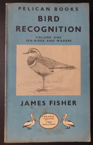 Bird recognition vol - recognition,