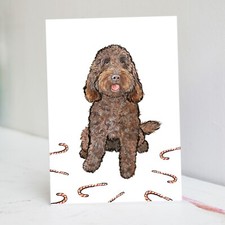 Chocolate Cockapoo Christmas Card