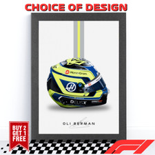 F1 Driver Helmet Art Print |