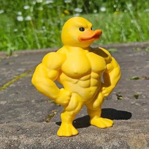 Muscle duck statue funny - muscle,