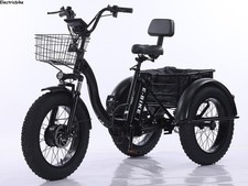 20" Folding Electric Tricycle