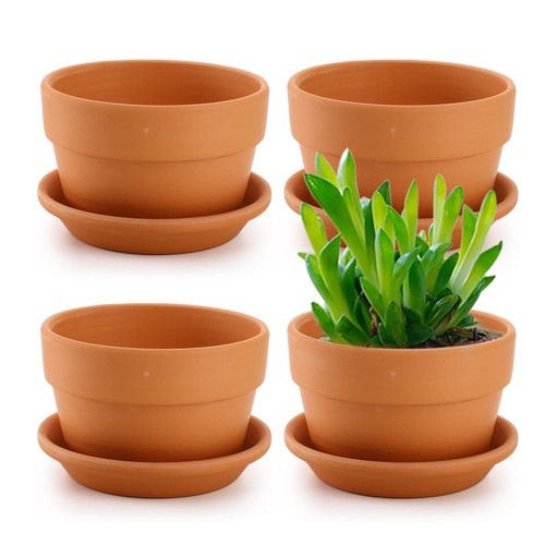 Pack terracotta pots with - 4,